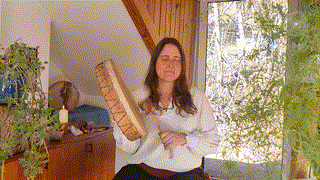 Shamanic Mentor Meditation