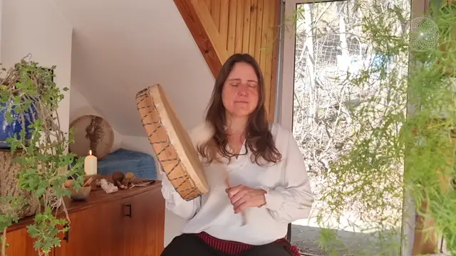 Shamanic Mentor Meditation