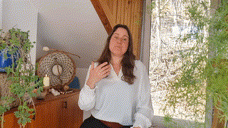 Shamanic Mentor Modul 1-1