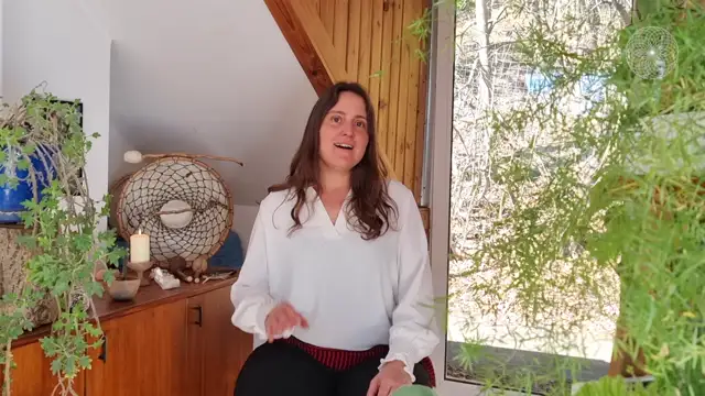 Shamanic Mentor Modul 1-4