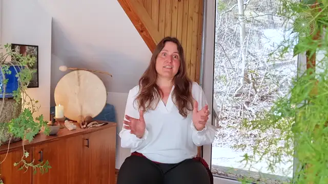 Shamanic Mentor Modul 2-4