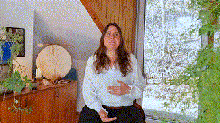 Shamanic Mentor Modul 2-3