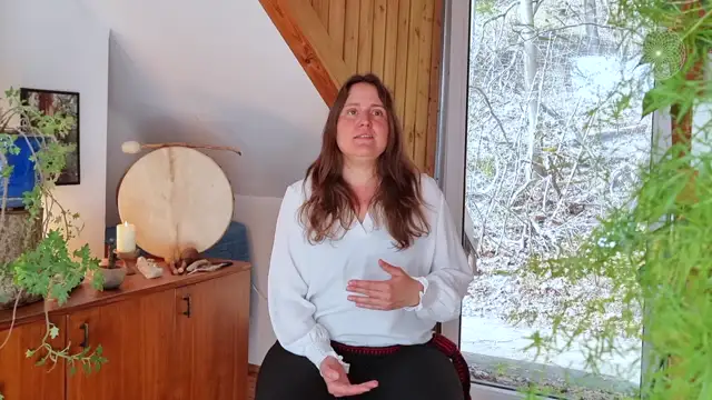 Shamanic Mentor Modul 2-3