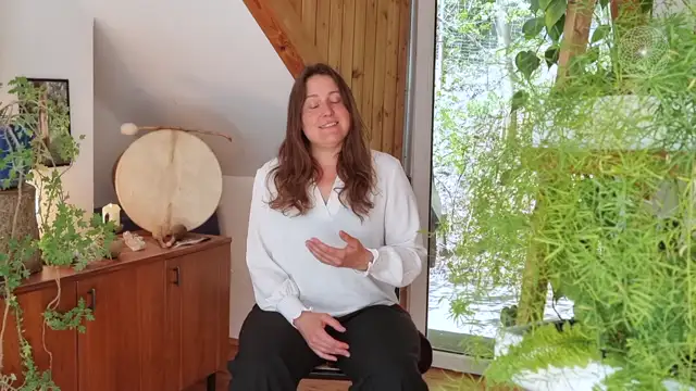 Shamanic Mentor Modul 3-4