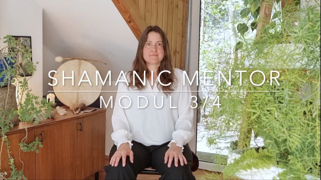 Shamanic Mentor Modul 3-4