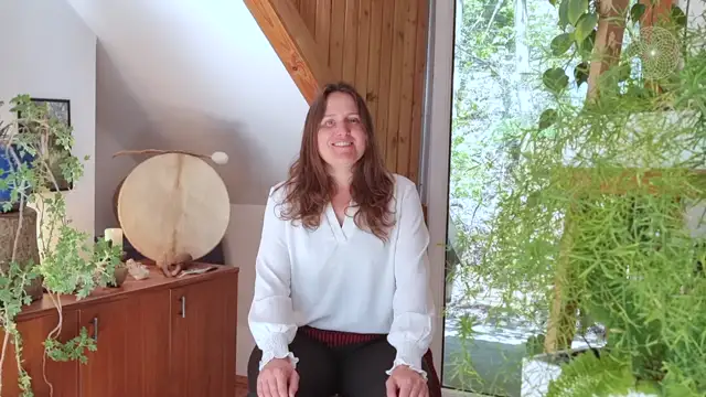 Shamanic Mentor Modul 3-1