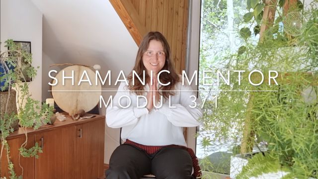 Shamanic Mentor Modul 3-1