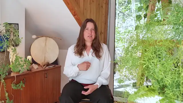 Shamanic Mentor Modul 3-3