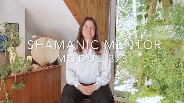 Shamanic Mentor Modul 3-3