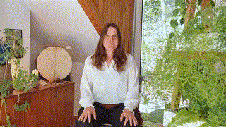 Shamanic Mentor Modul 3-2