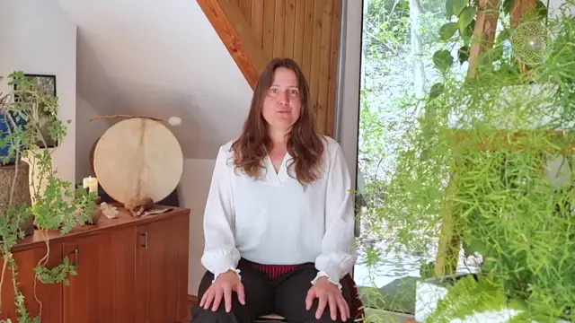 Shamanic Mentor Modul 3-2