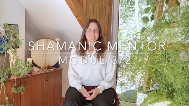 Shamanic Mentor Modul 3-2