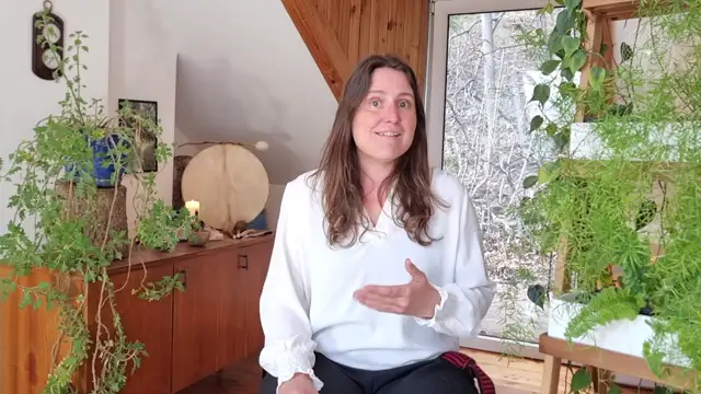 Shamanic Meditation_Intro