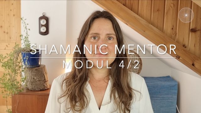 Shamanic Mentor Modul 4-2
